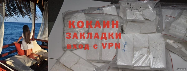 крисы Верея