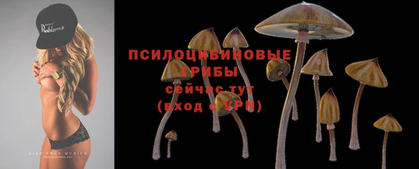 крисы Верея